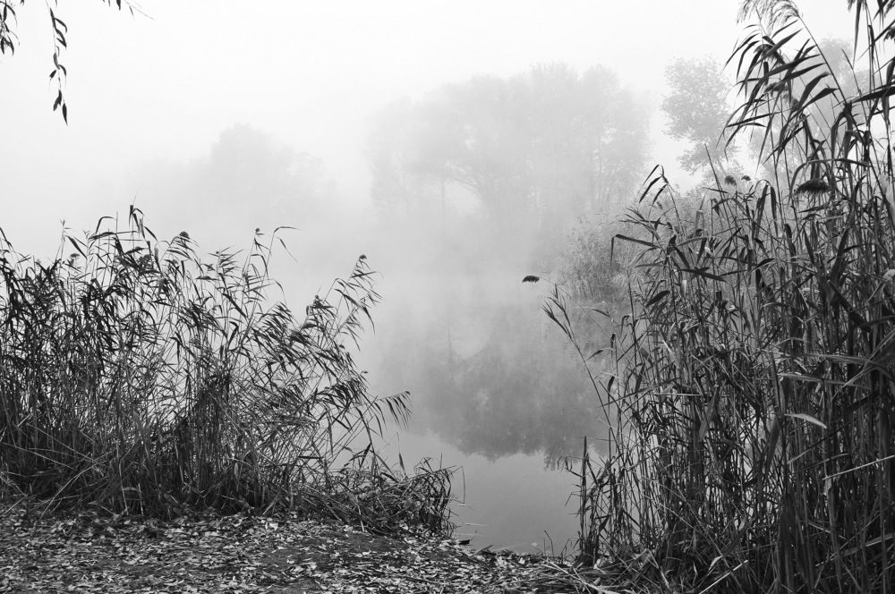 Photograph by Александр Штифман