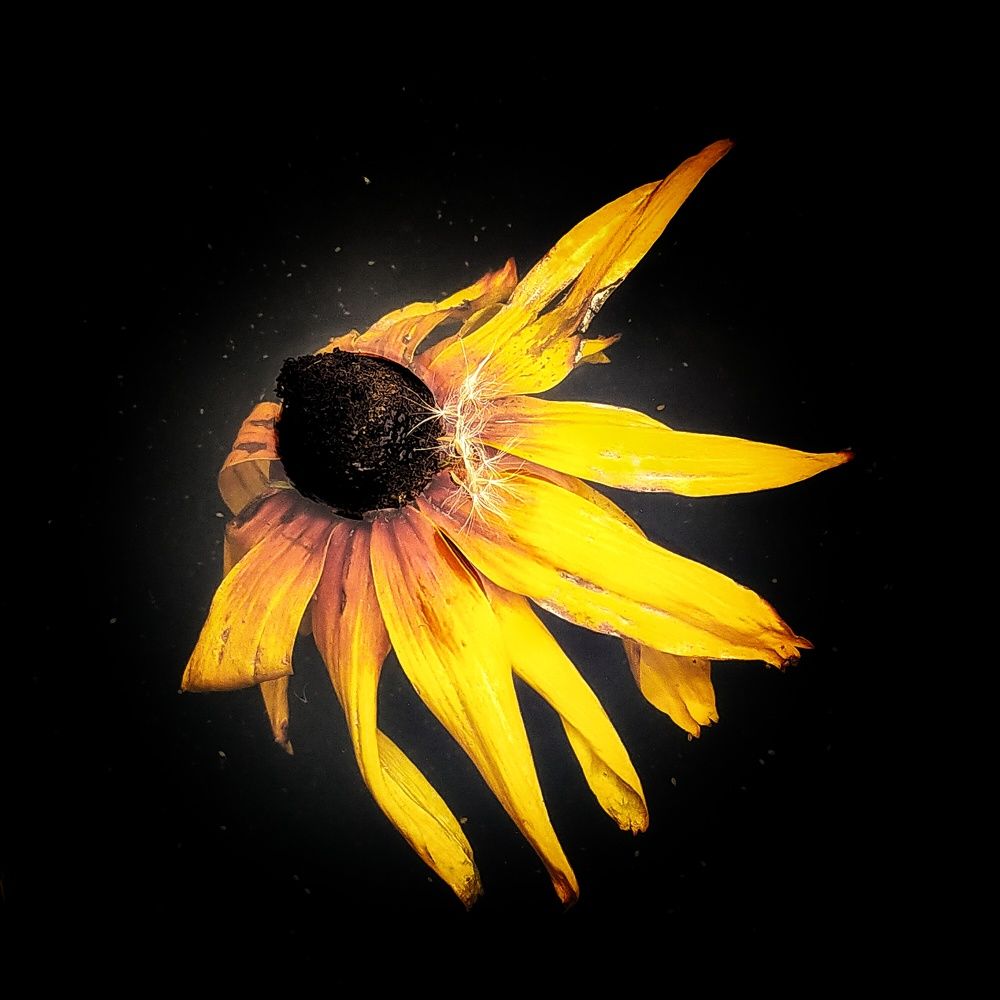 Photograph by Ольга Мартьянова