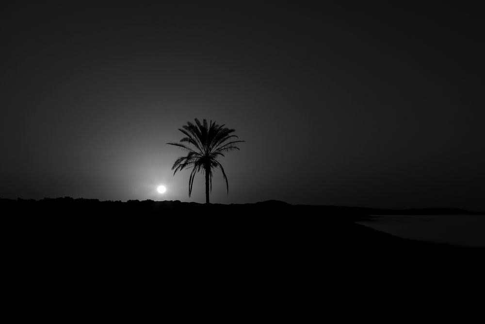 Photograph by Mohammadi Rasoul