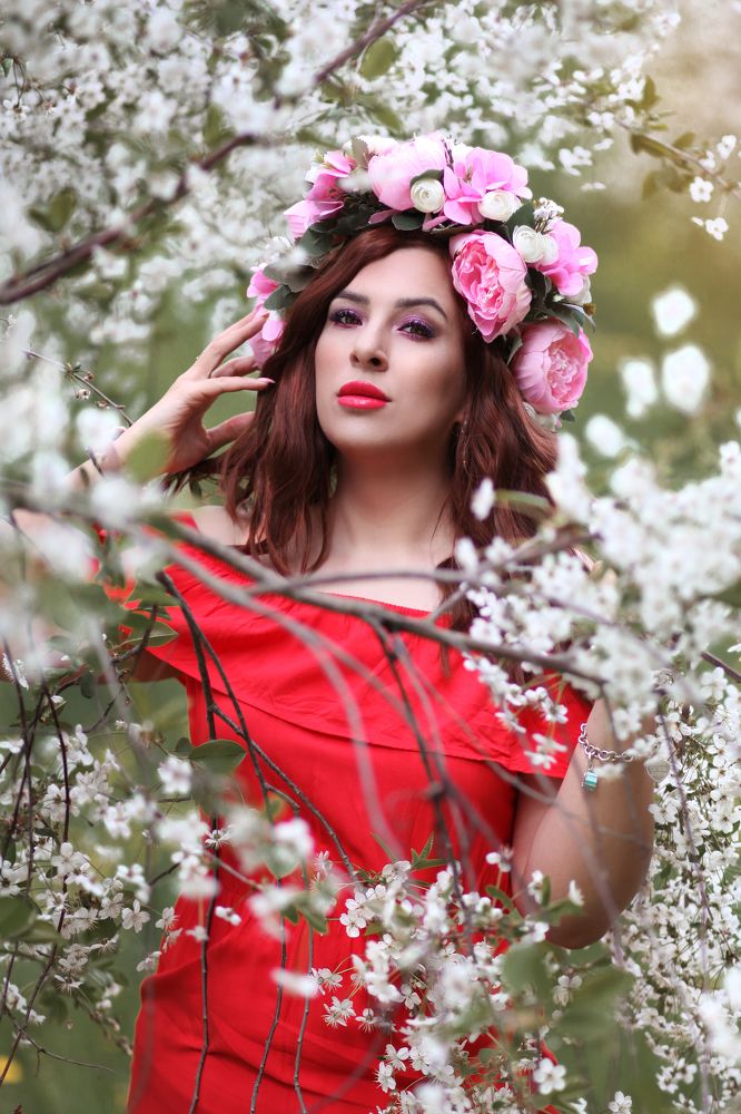 Фотография автора Кристина Догодька