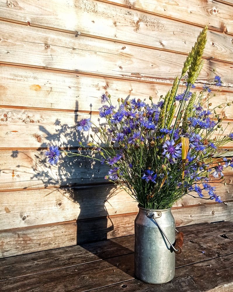 Photograph by Ольга Третьякова