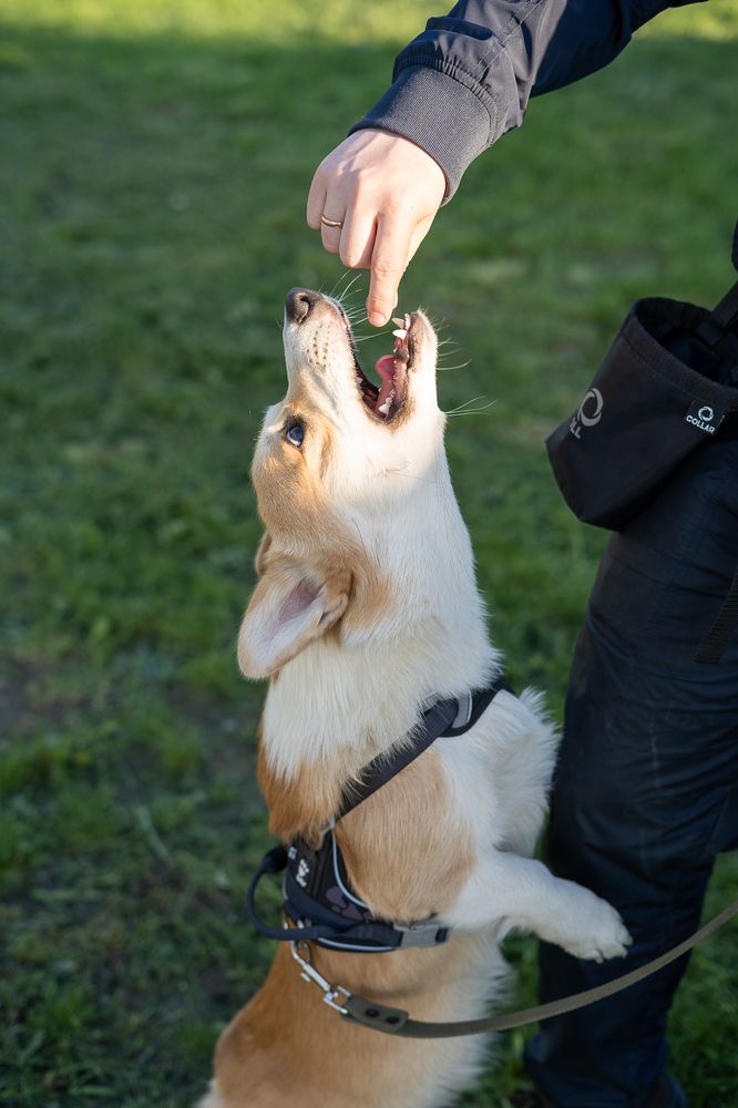 Photograph by Сурков Владимир