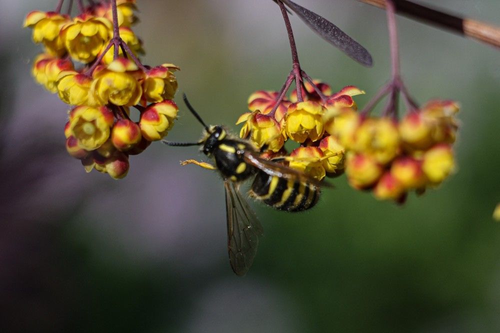 Photograph by Надежда