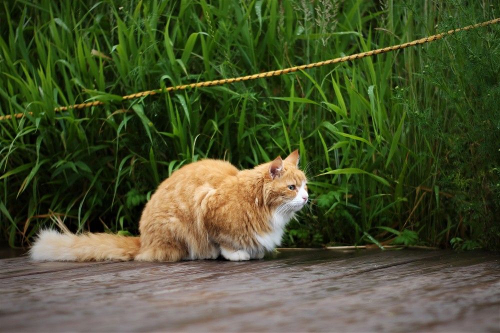 Photograph by Михаил Костыря