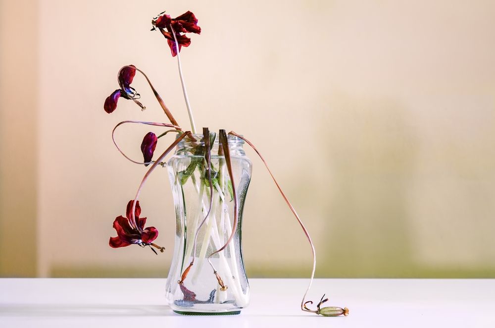 Photograph by Kveta Novotna