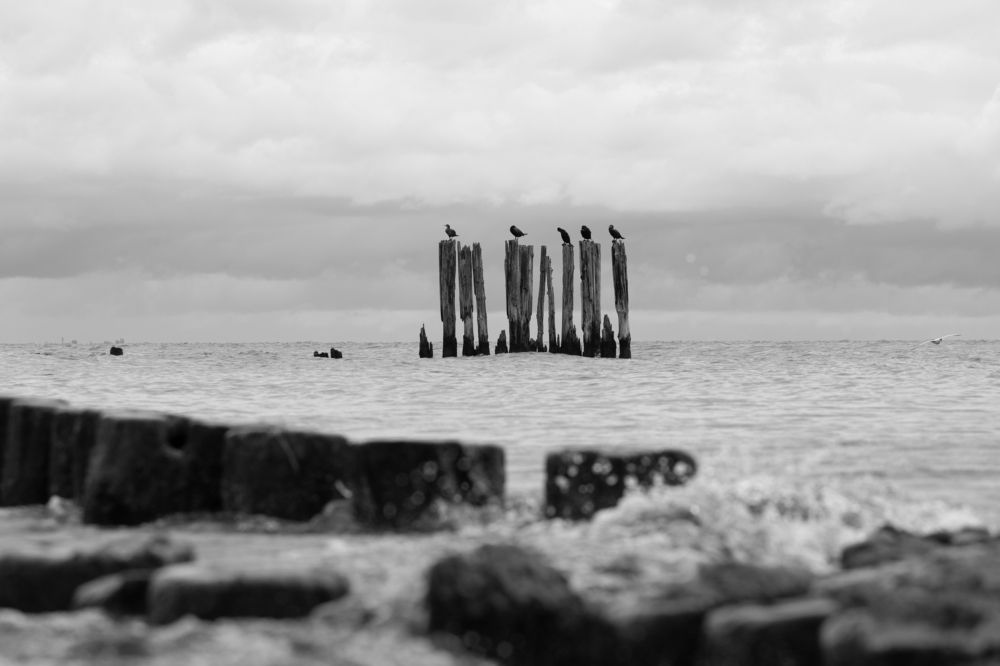 Photograph by Karina