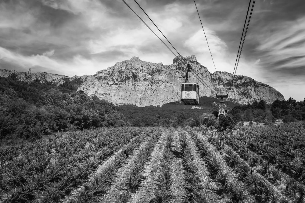 Photograph by Наталья Турбина