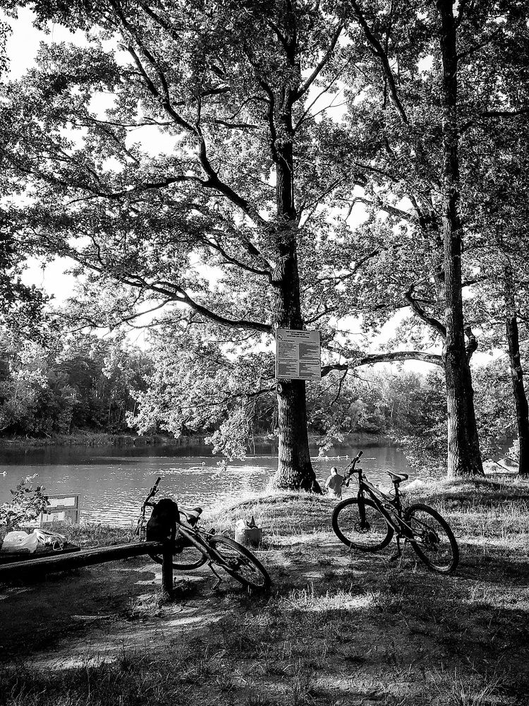 Photograph by Людмила Казак