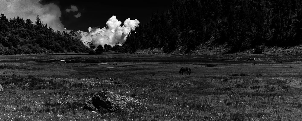 Photograph by Rodolfo Durán