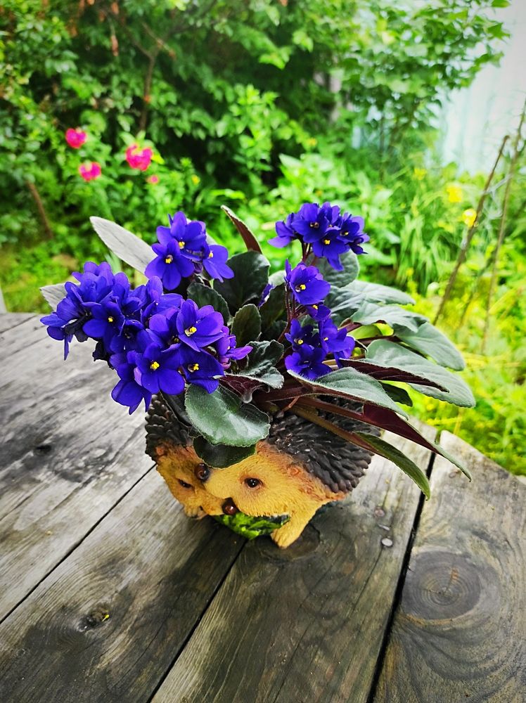 Красивый кадр