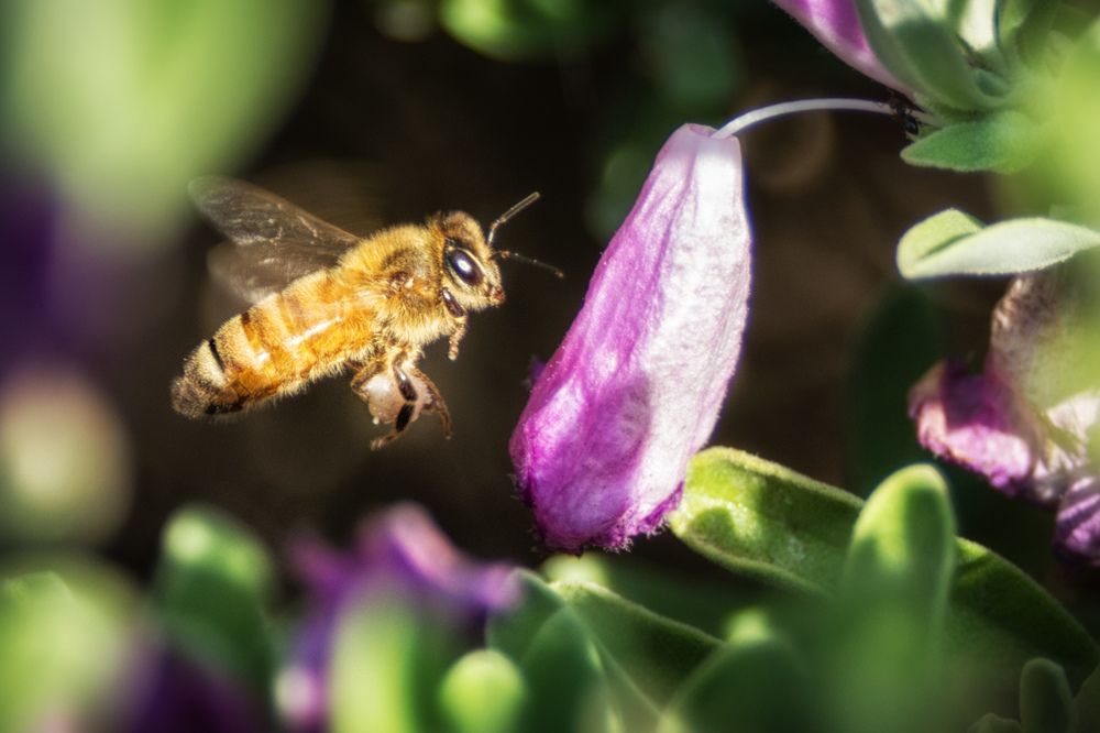 Photograph by Okselenko Oleg