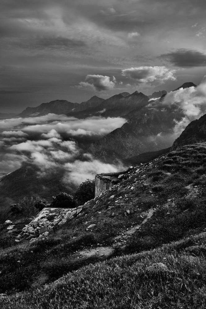 Photograph by Георгий Безбородов