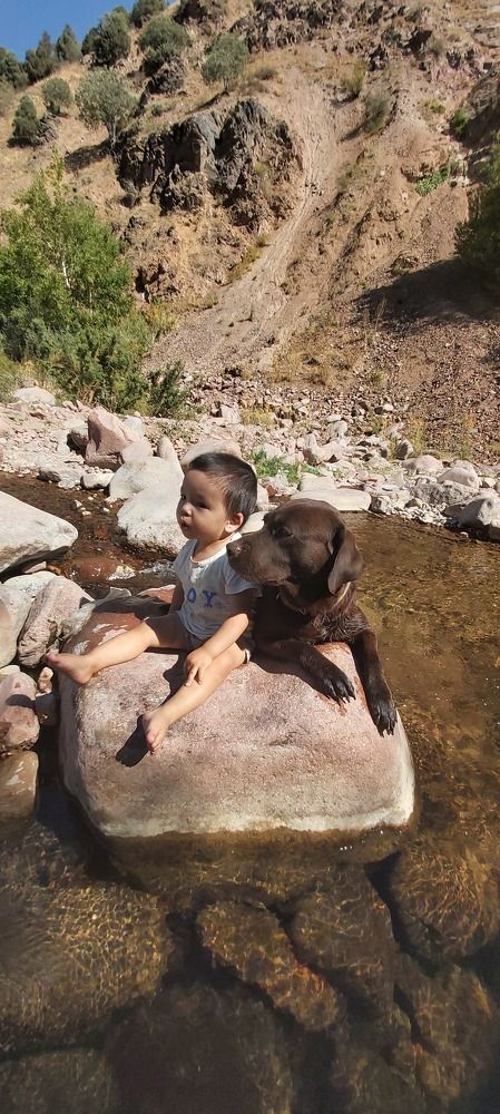 Photograph by УКТАМ ДЖАЛАЛОВ