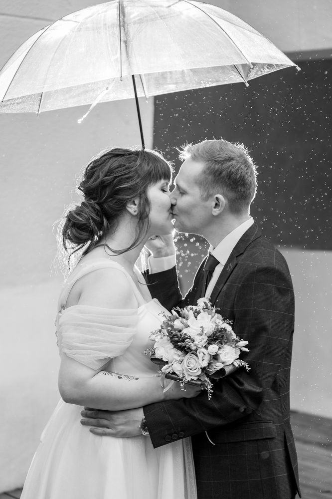 Photograph by Funky Bull