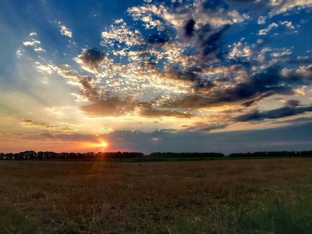 Фотография автора OXANA MARSOVA