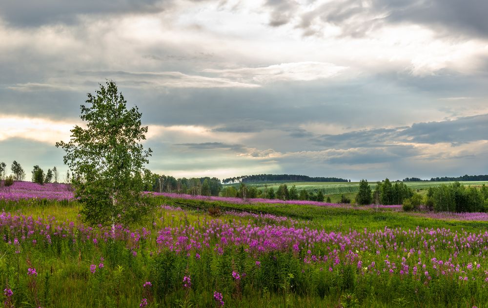 Photograph by Валерий Туманов