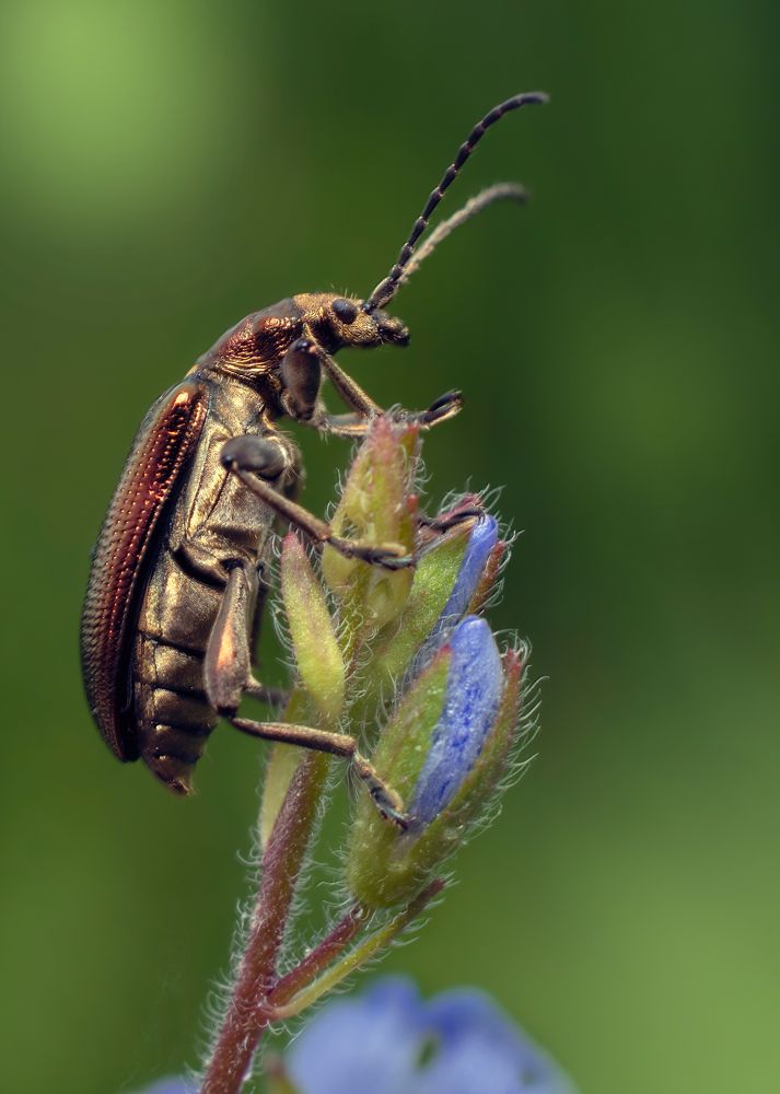 Photograph by Людмила Железнова