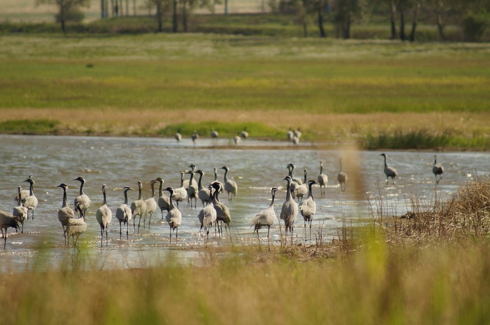 Photograph by Дарья Ринас