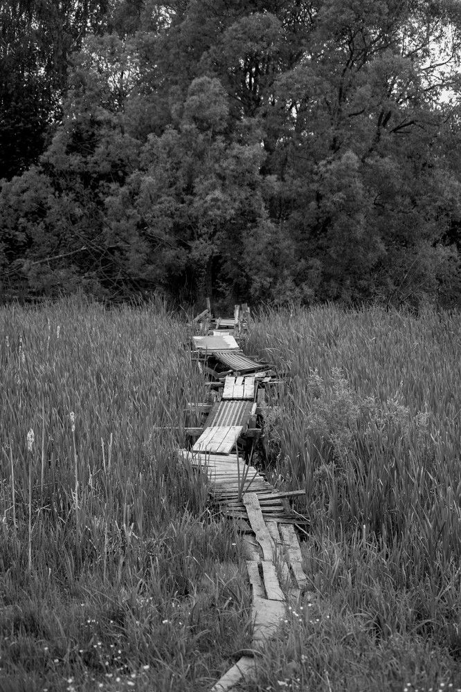 Photograph by Владислав Капанов