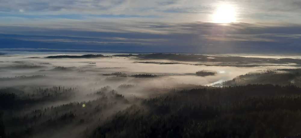 Белая ночь опустилась как Облако