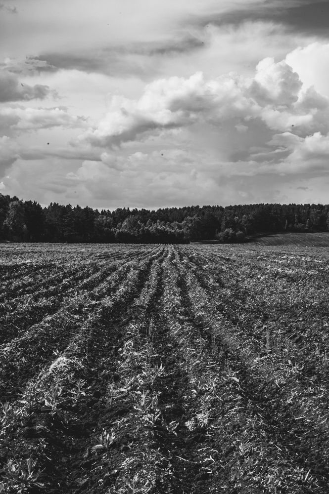 Photograph by Фёдорова Анастасия