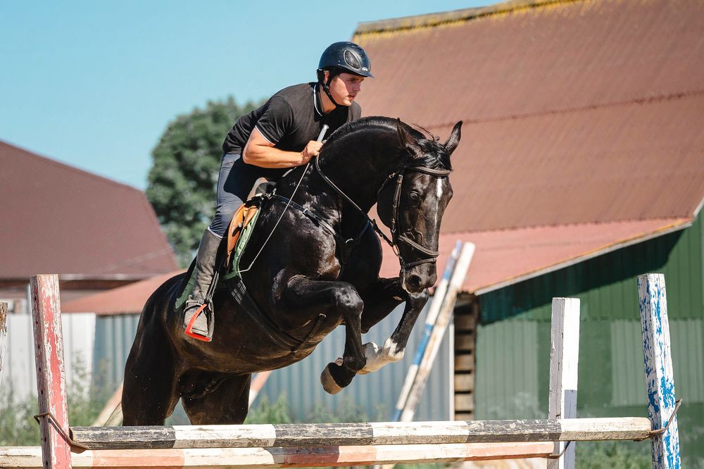 Photograph by Lesnoe Photo