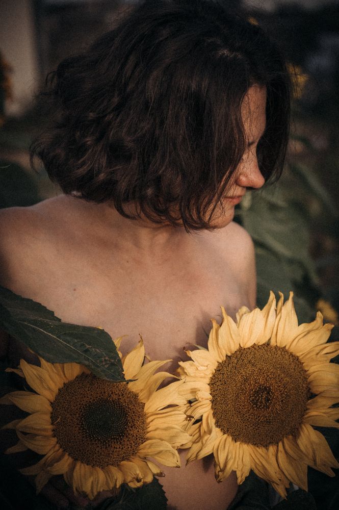 Подсолнухи