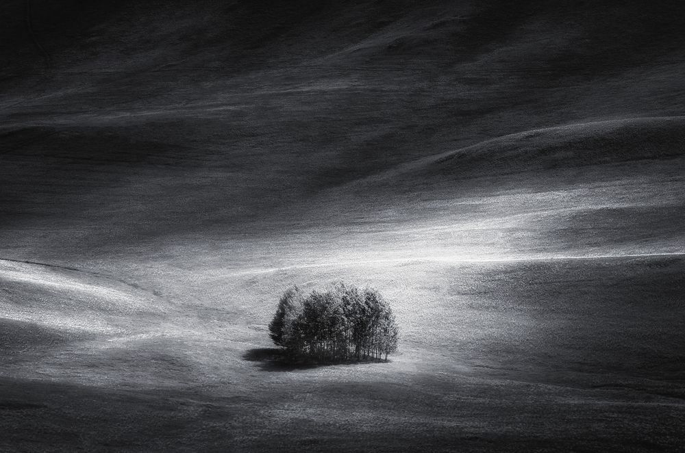 Photograph by Бирюкова Татьяна