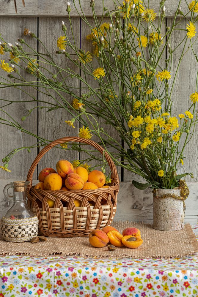 Photograph by Елена Плотникова