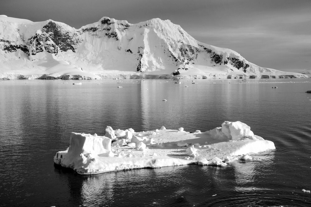 Photograph by Pavlin Penev