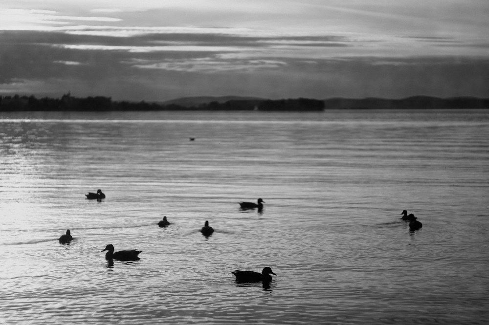 Photograph by Всеволод Коркунов