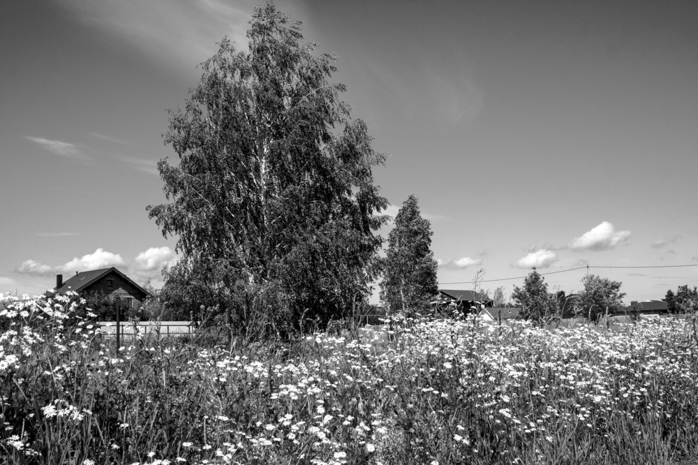 Photograph by Валерий Богачев