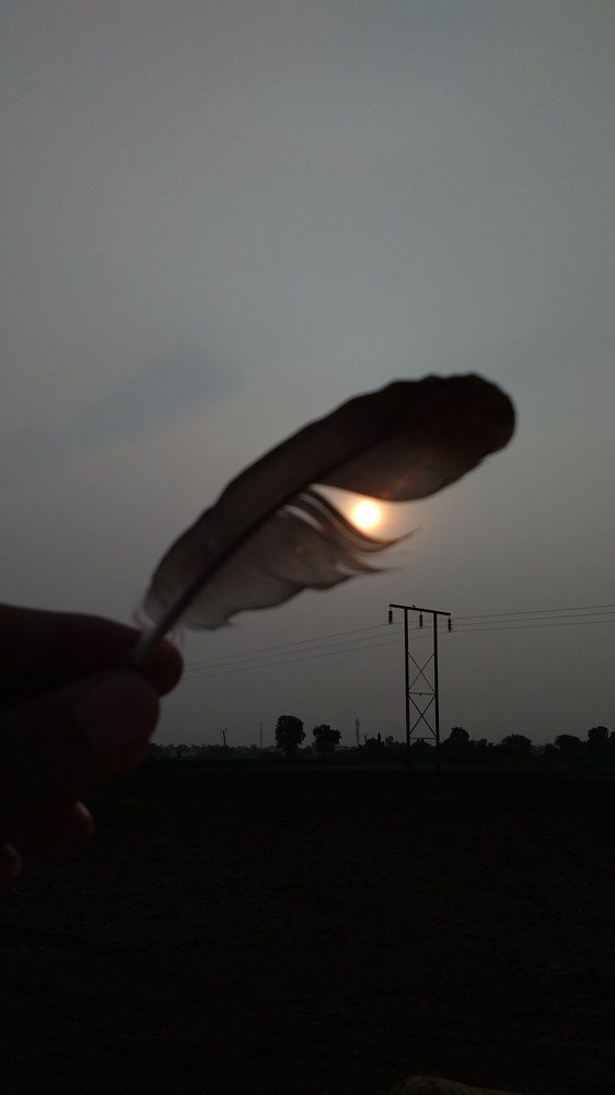 Photograph by Viraj Movaliya