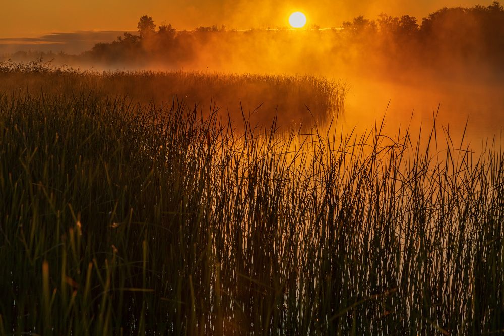 Photograph by Татьяна Гузева