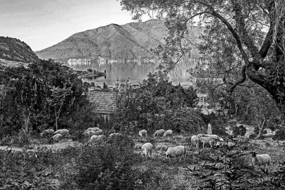 Photograph by Александр Стрельченко