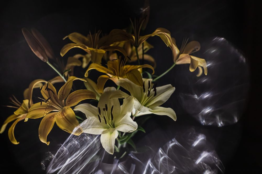 Photograph by Людмила Сливкина