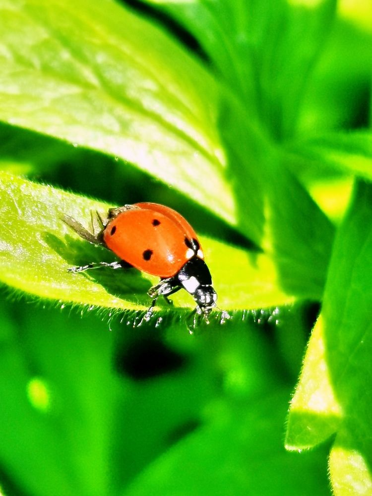 Фотография автора Rafa