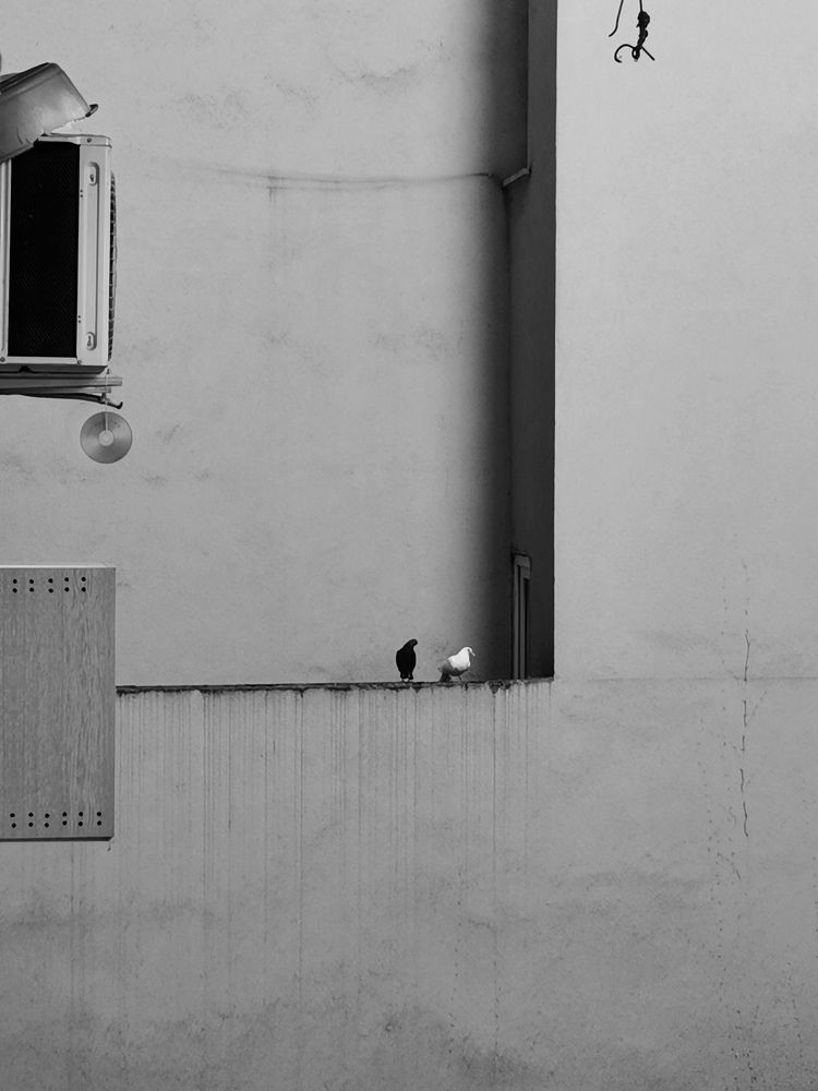 Photograph by Jan Klasinc