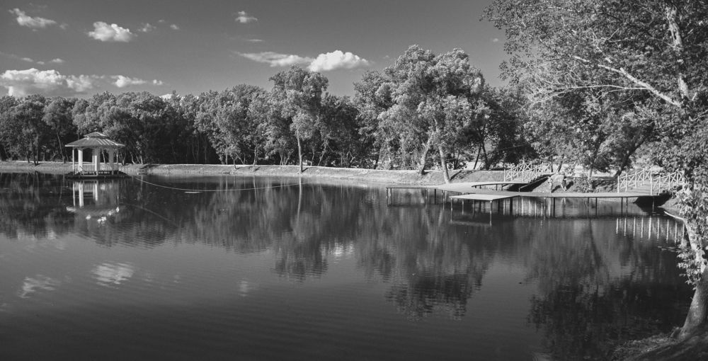 Photograph by Виталий Дрынов