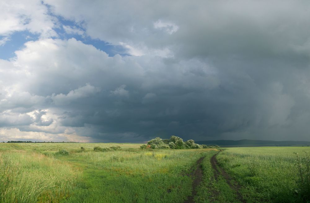 Гроза