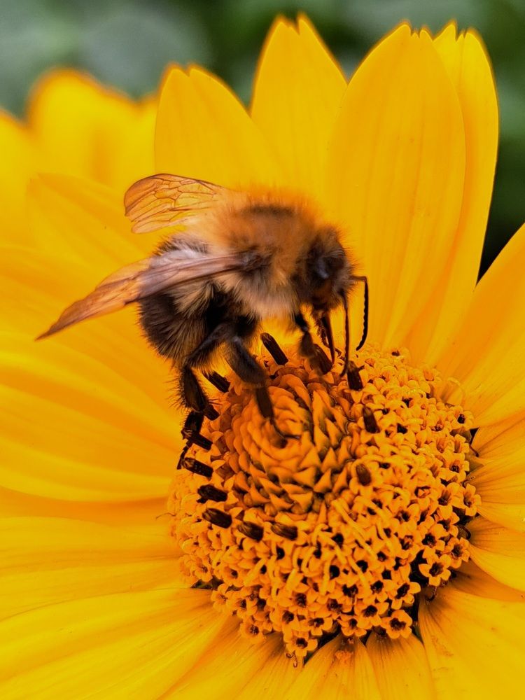 Photograph by Dita Lapinska