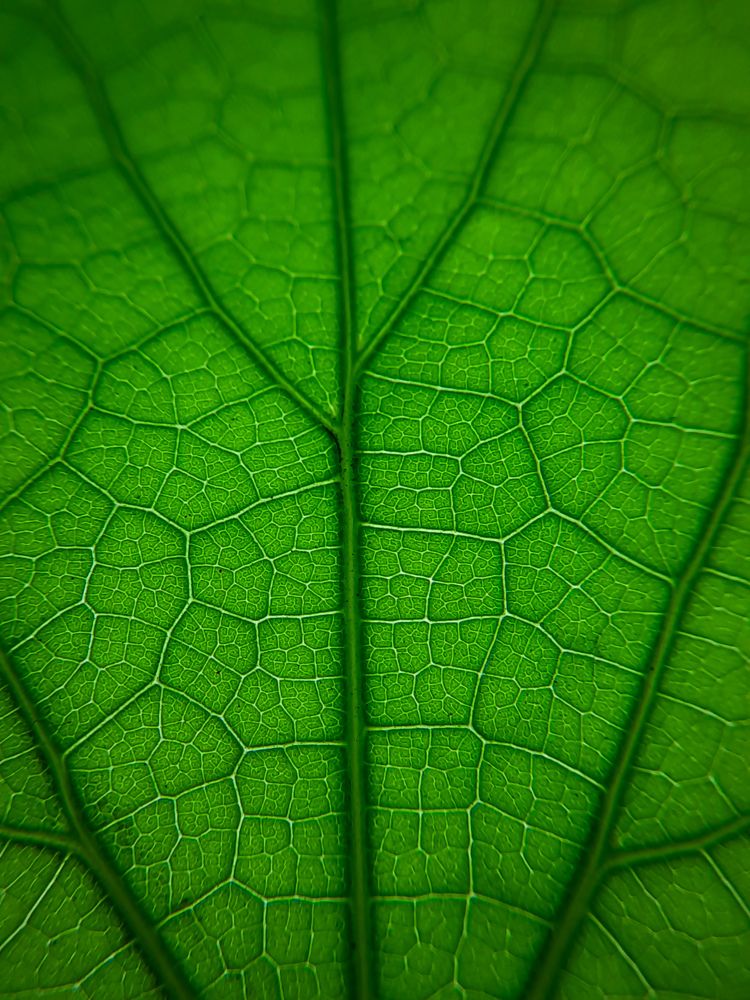 Photograph by Zankrut Antani
