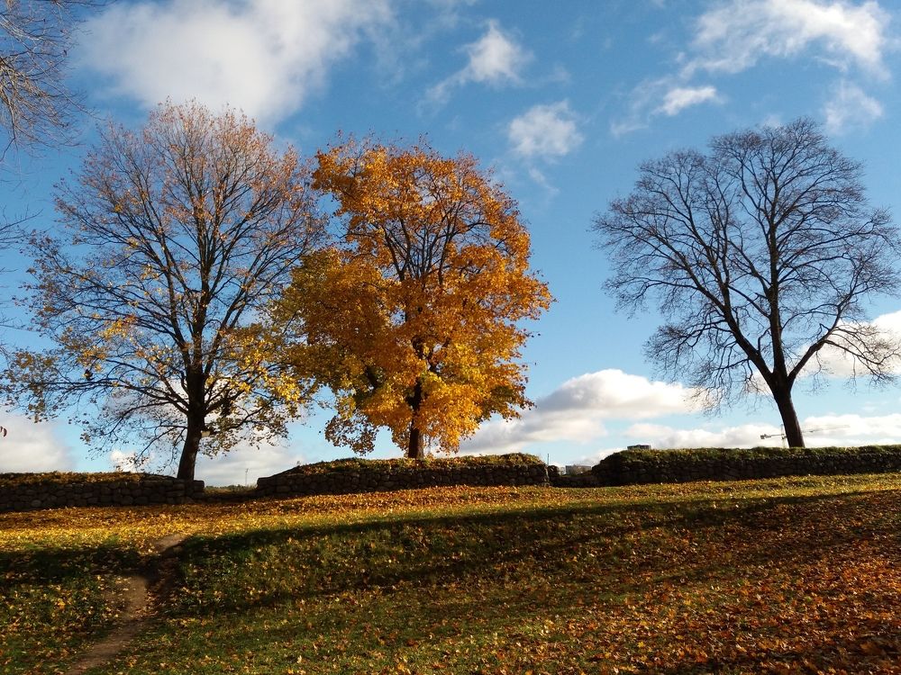 Фотография автора Natali