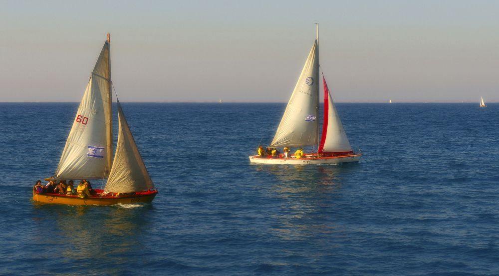 Королевская регата