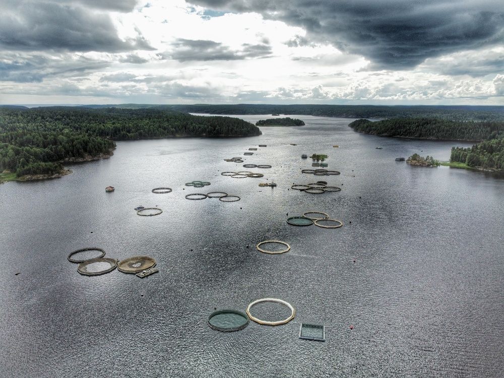 Photograph by Андрей Нурулин