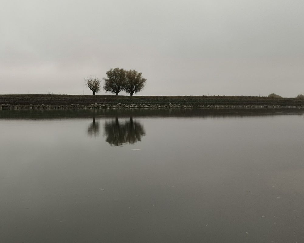 Photograph by Андрей Евтеев