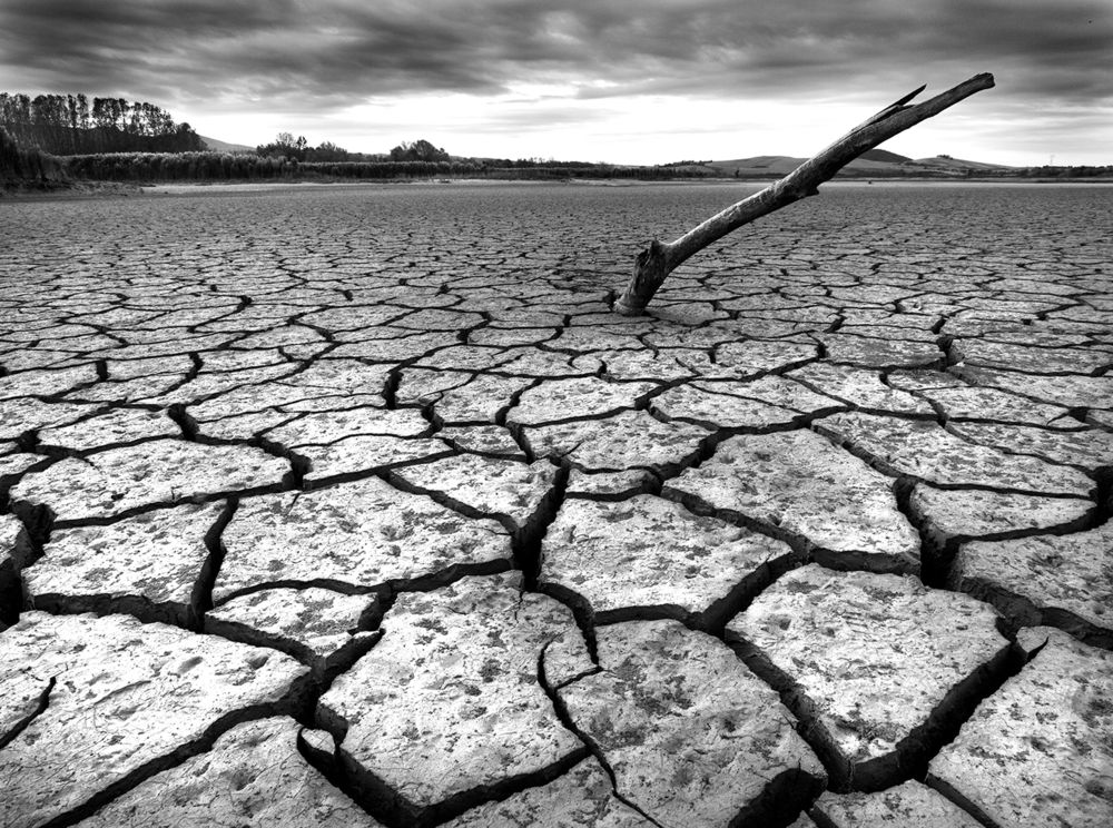 Photograph by Stefano Gelli