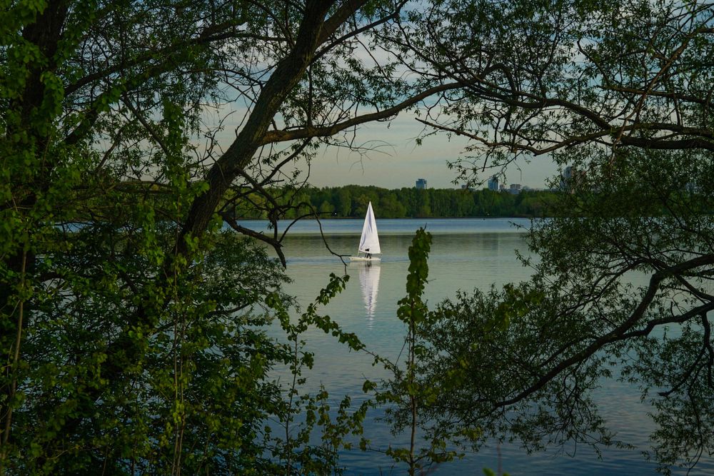 Белеет парус.....