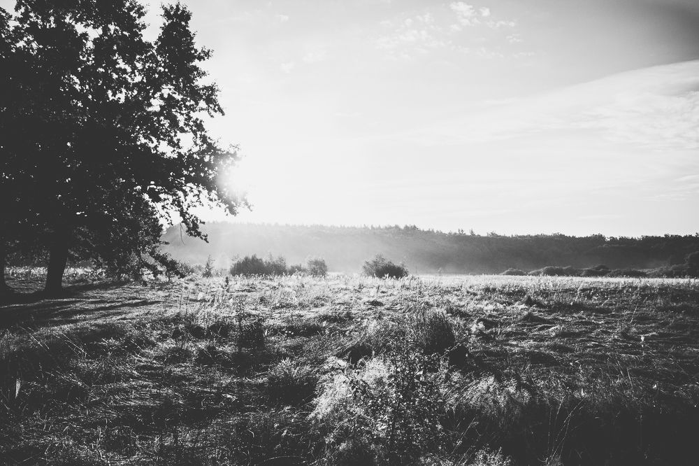 Photograph by Evgeniya Gribova