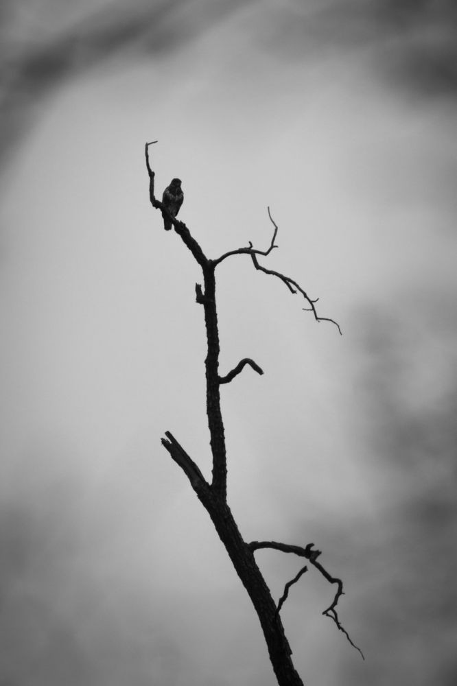 Photograph by Bruno Golemac